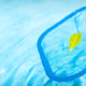 Steps to start a Pool Cleaning Company